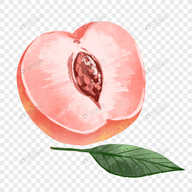 WWW,836se·COM网站APPAPP应用