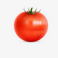 免费站看大片真人电视剧的软件下载...APP应用